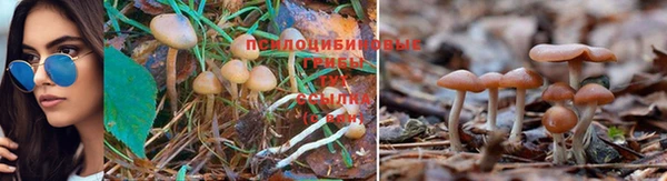 МДМА Нефтегорск